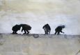 Gintare Skroblyte - Am Haff - Suchende (Zeichnung, 32x27cm, 2015)